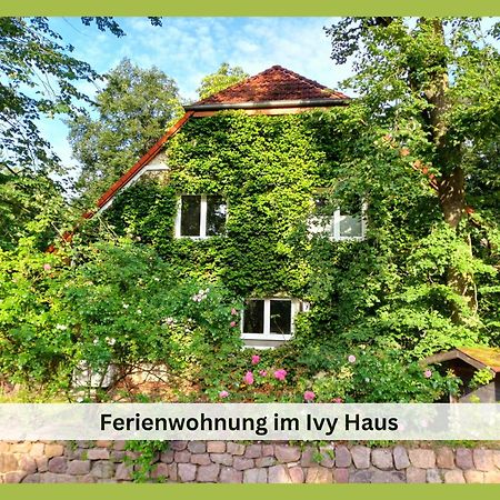 팔켄제 Ivy Haus 아파트 외부 사진